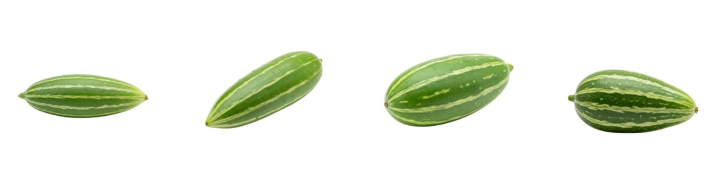 Collection of fresh pointed gourd vegetables isolated on black background