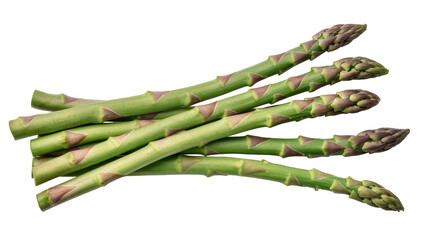 Fresh green asparagus spears with purple tips, isolated on transparent background © Dan