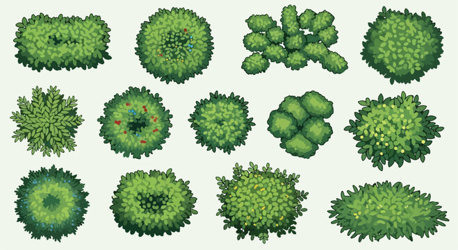 Top view landscape trees and bushes, 13 green plant symbols for site planning, garden map vector icons, architectural vegetation elements