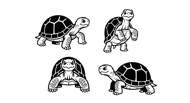 Four Black and White Turtle Illustrations in Various Poses.