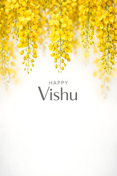 Elegant white background featuring happy vishu text and hanging yellow cassia fistula flowers representing the traditional celebration of the malayalam new year and hindu festivals