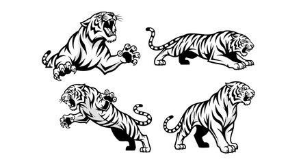 Obraz premium Four Striking Black and White Tiger Illustrations in Dynamic Poses.