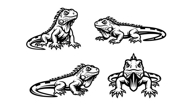 Iguana Illustrations - A Collection of Reptilian Designs in Black and White.