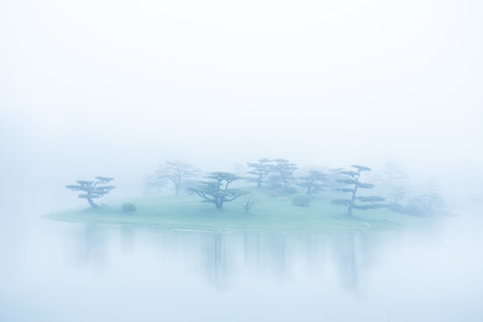 Trees on a small island on a foggy day, Illinois, USA