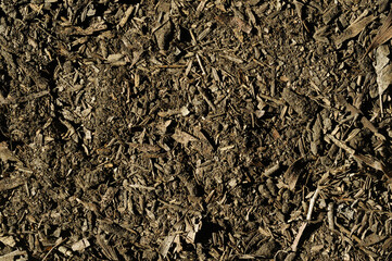 Fototapeta premium Organic soil for the environment