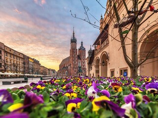 Wiosenny poranek na Rynku Głównym w Krakowie z widokiem na Bazylikę Mariacką © Michal45