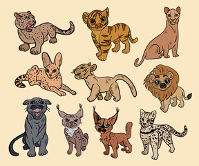 Wild Cats and Dogs Vector Set, Big Cats and Puppy Breeds Collection, Animal Portrait Illustration © Kawser_Ahmed