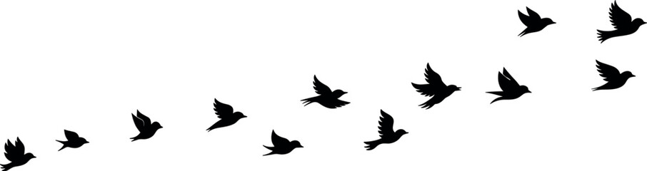 Obraz premium Flying birds silhouettes in formation, flock in sky, freedom concept, migration, nature wildlife scene, movement, travel and peaceful natural background