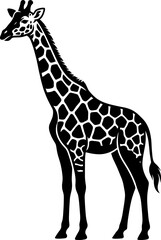 Obraz premium Animals Silhouette