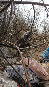 garbage in the forest. garbage in the park. garbage on the road. natural landfills. Ukrainian landscapes 4k. garbage in the environment
