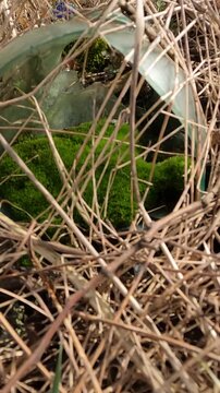 garbage in the forest. garbage in the park. garbage on the road. natural landfills. Ukrainian landscapes 4k. garbage in the environment