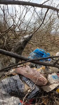 garbage in the forest. garbage in the park. garbage on the road. natural landfills. Ukrainian landscapes 4k. garbage in the environment