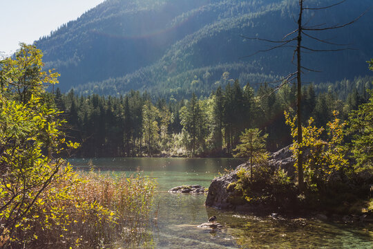 Idyllic Hintersee lake with small islands and Zauberwald Forest and Hochkalter mountain in Berchtesgaden Alps Ramsau
