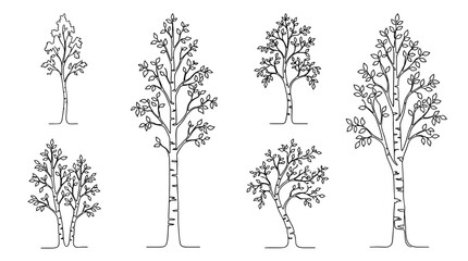 Obraz premium birch tree , six black Continuous Line Art (Single Line) vector set collection , white background , PNG and SVG