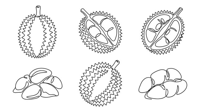 durian , six black Continuous Line Art (Single Line) vector set collection , white background , PNG and SVG