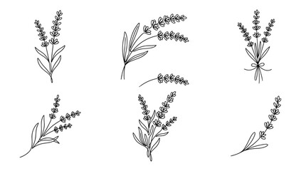 Obraz premium lavender , six black Continuous Line Art (Single Line) vector set collection , white background , PNG and SVG