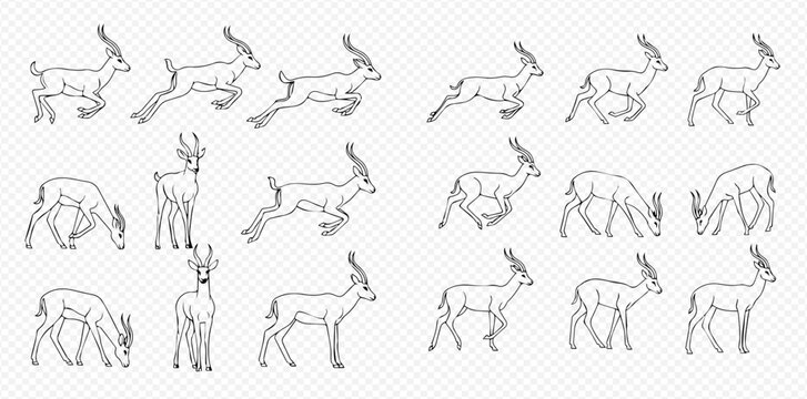 Gazelle animation sprite sheet with various poses and actions, including running, jumping, and grazing, in a line art style.