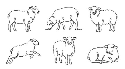 Fototapeta premium sheep , six black Continuous Line Art (Single Line) vector set collection , white background , PNG and SVG