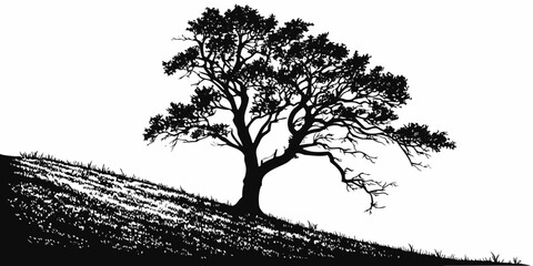 A solitary tree stands tall against a minimalistic backdrop © Bf