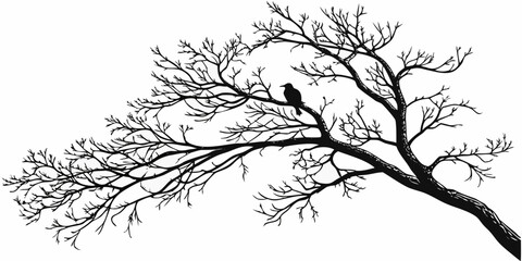 Obraz premium Elegant black and white illustration of a tree with intricate branches