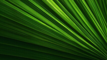 Obraz premium Radiant green palm leaf with vivid veins. AI generated