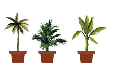Fototapeta premium Tropical Potted Plants Collection Vector Set with Palm Tree Areca Palm and Banana Plant Illustration