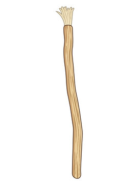 Natural Teeth Cleaning Stick - Miswak Illustration