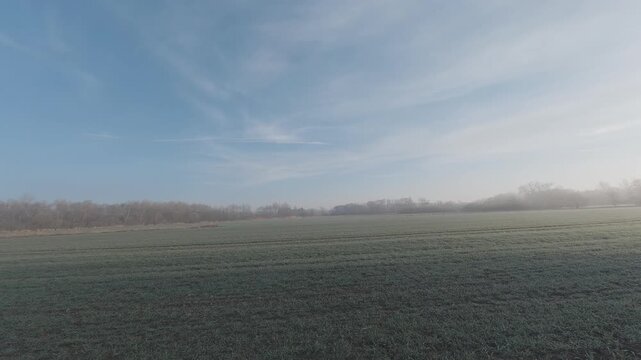 Morning view over a field with mist and sunlight shining through trees. Soft foggy atmosphere with warm rays creating a peaceful landscape background, perfect for nature, environment