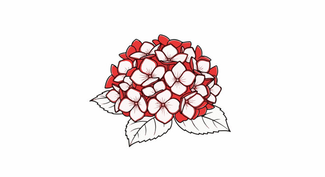Delicate red and white hydrangea bloom with textured petals on a white background