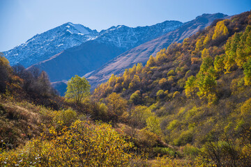 Fototapeta premium Beautiful Autumn Mountain Valley with Snow Capped Peak and Yellow Foliage with copy space