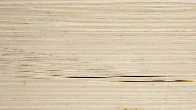 side view of Book page close up texture background stop motion