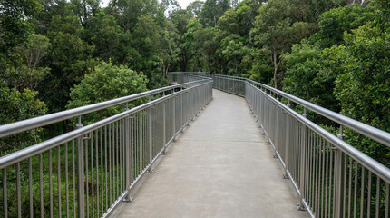 Fototapeta premium Elevated walking trail with metal railing through lush greenery 