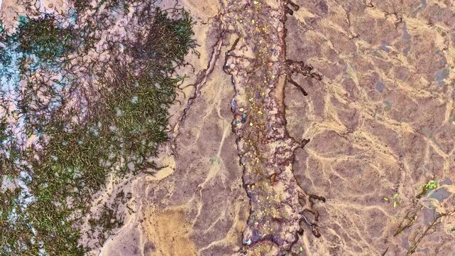 Aerial top view of abstract sand and mud texture with green seaweed