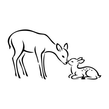 Dibujo minimalista con l&iacute;neas de una cierva de pie besando a su cervatillo acostado. Concepto de amor maternal