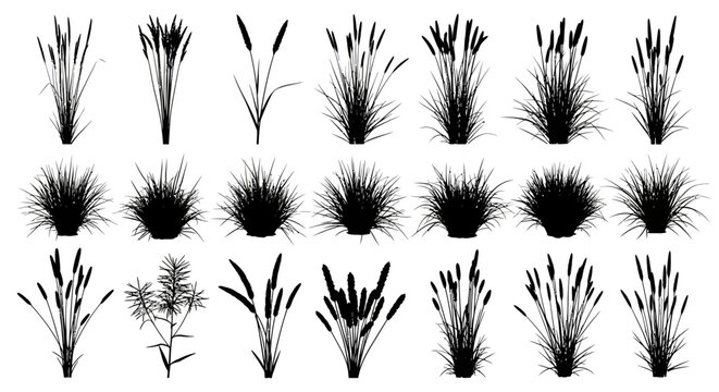 Black cattail silhouettes and wild grass icons set, 21 botanical vector elements, marsh reed and swamp plant illustrations for landscape design
