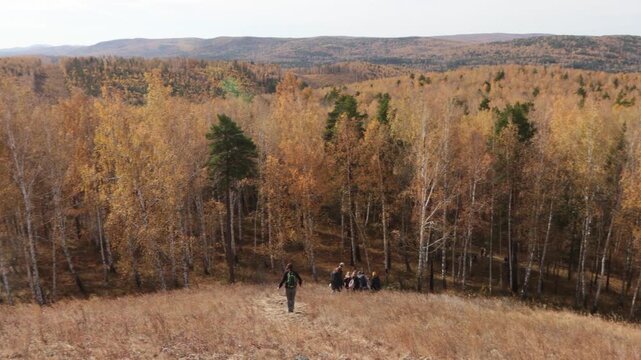 Taiga in autumn. Picturesque view from the mountaintop of a pine-birch autumn forest. In the distance, a group of tourists descends the slope.