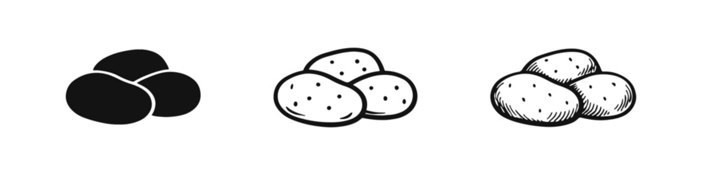 Potato Vegetable Icon Set - Black Glyph, Outline, and Hand-Drawn Sketch Styles on White Background