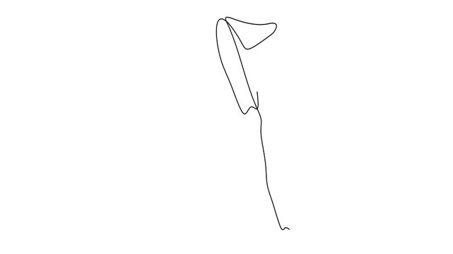 Animated self drawing of continuous line draw of Woman's Legs in Motion.   Full length one line animation. 4K	