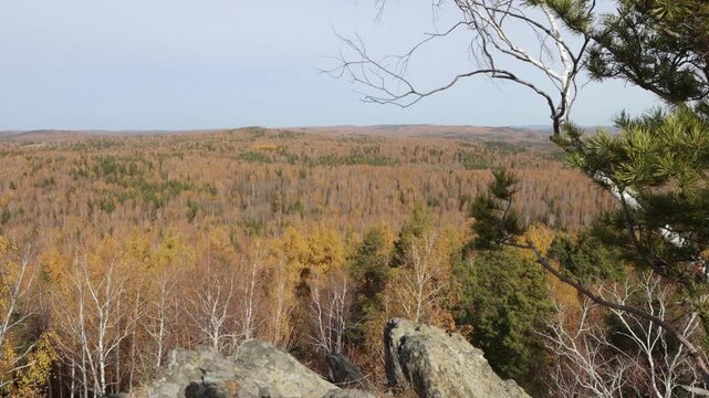 Taiga in autumn. Picturesque view from the top of the mountain into a mixed pine-birch autumn forest.