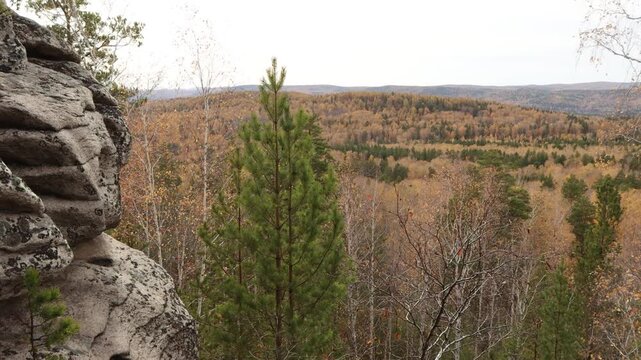 Taiga in autumn. Picturesque view from the top of the mountain into a mixed pine-birch autumn forest.