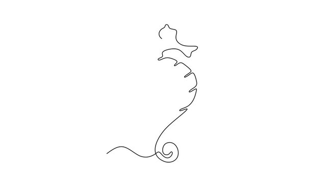 Animated self drawing of continuous line draw of  Seahorse   Full length one line animation. 4K	