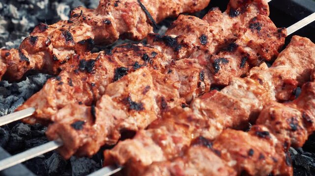 Pork skewers grilling on rack over coals, spring barbecue in backyard