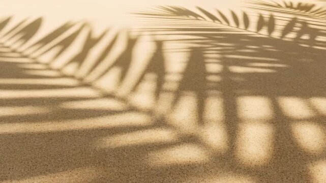 Leaf palm shadow on light background with tropical frond silhouette featuring sandy beach, beach scene, sandy surface with natural scene elements,