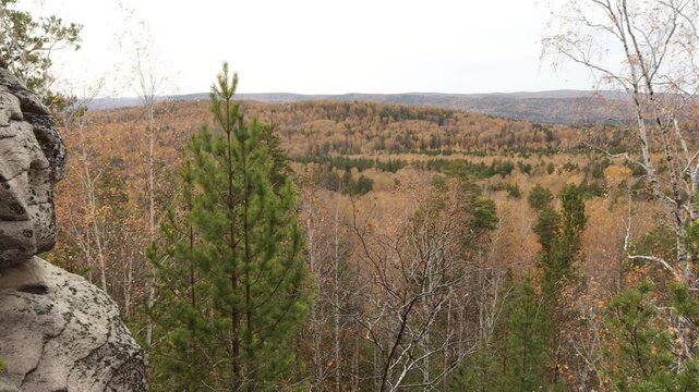Taiga in autumn. 2 Shots. Picturesque view from the top of the mountain into a mixed pine-birch autumn forest.