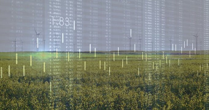 Yellow crop still while data overlay visualizing bars rising over turbines, teal glow peaking