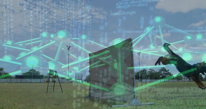 Dog sprinting from left, jumping training obstacle with toy, green network overlay tracking path