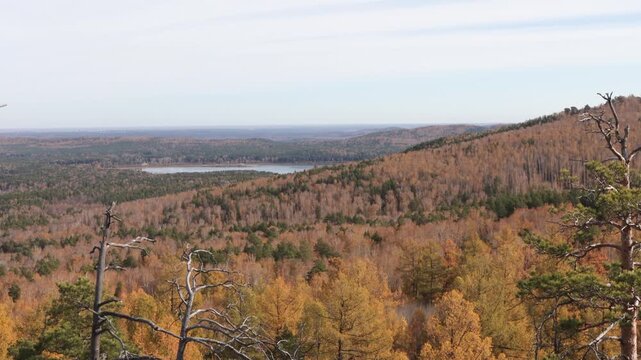 Taiga in autumn. 2 Shots. A picturesque view from the mountaintop of a mixed pine-birch autumn forest and a lake.