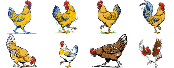 Set of colorful rooster and hen cartoon characters isolated on white background © codeblend