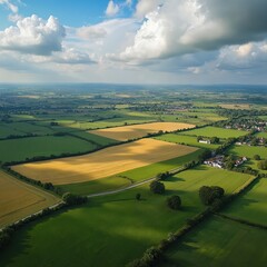 Obraz premium Aerial view of vast green and golden fields divided by trees and hedges. Rural landscape with small village and clear blue sky with white clouds. Sunny day on the countryside.