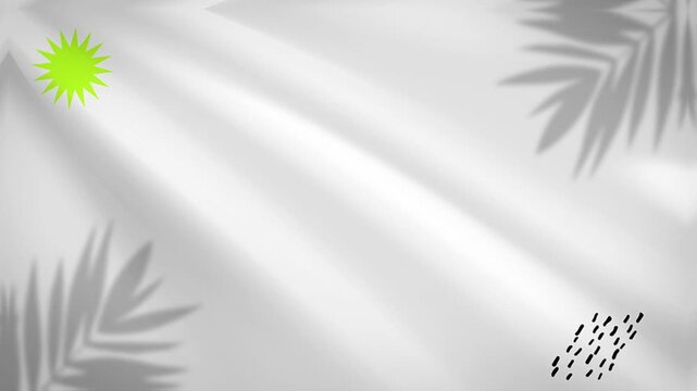 Abstract shadow white background of natural palm leaves tree branch falling on wall